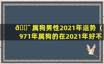 🐯 属狗男性2021年运势（1971年属狗的在2021年好不好）